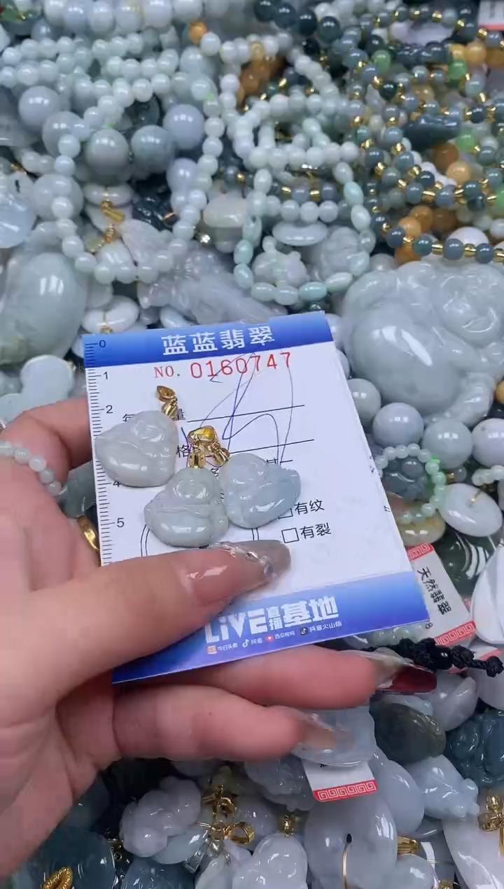 【闪购商品】翡翠颈饰未镶嵌闪购0160747多样性发其一