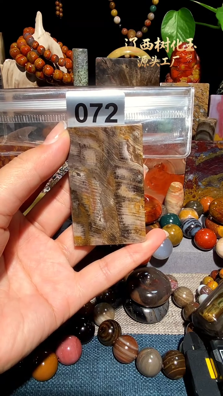 未镶嵌-硅化玉天然北票硅化玉吊坠