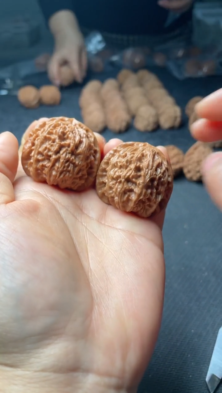 把件文玩核桃w66  白狮子 38尺