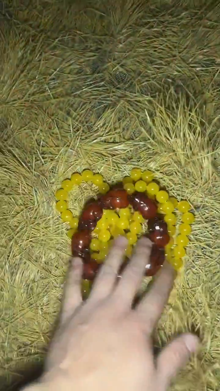 木质【闪购】——————大福利