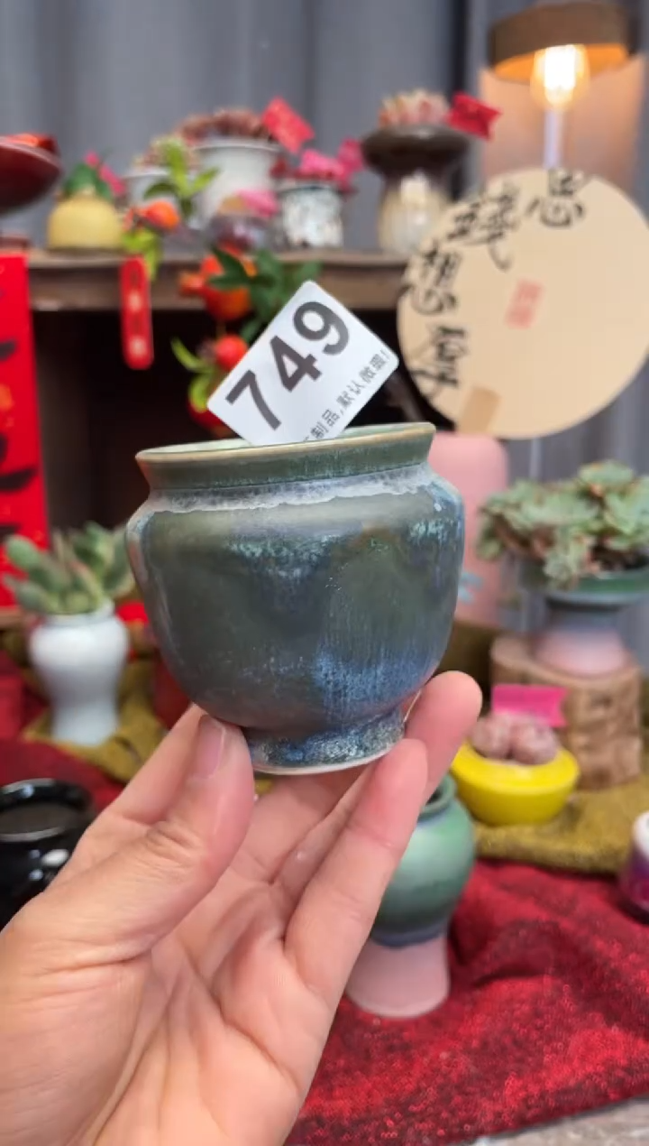 【闪购商品】摆件749知木小芳花盆编号