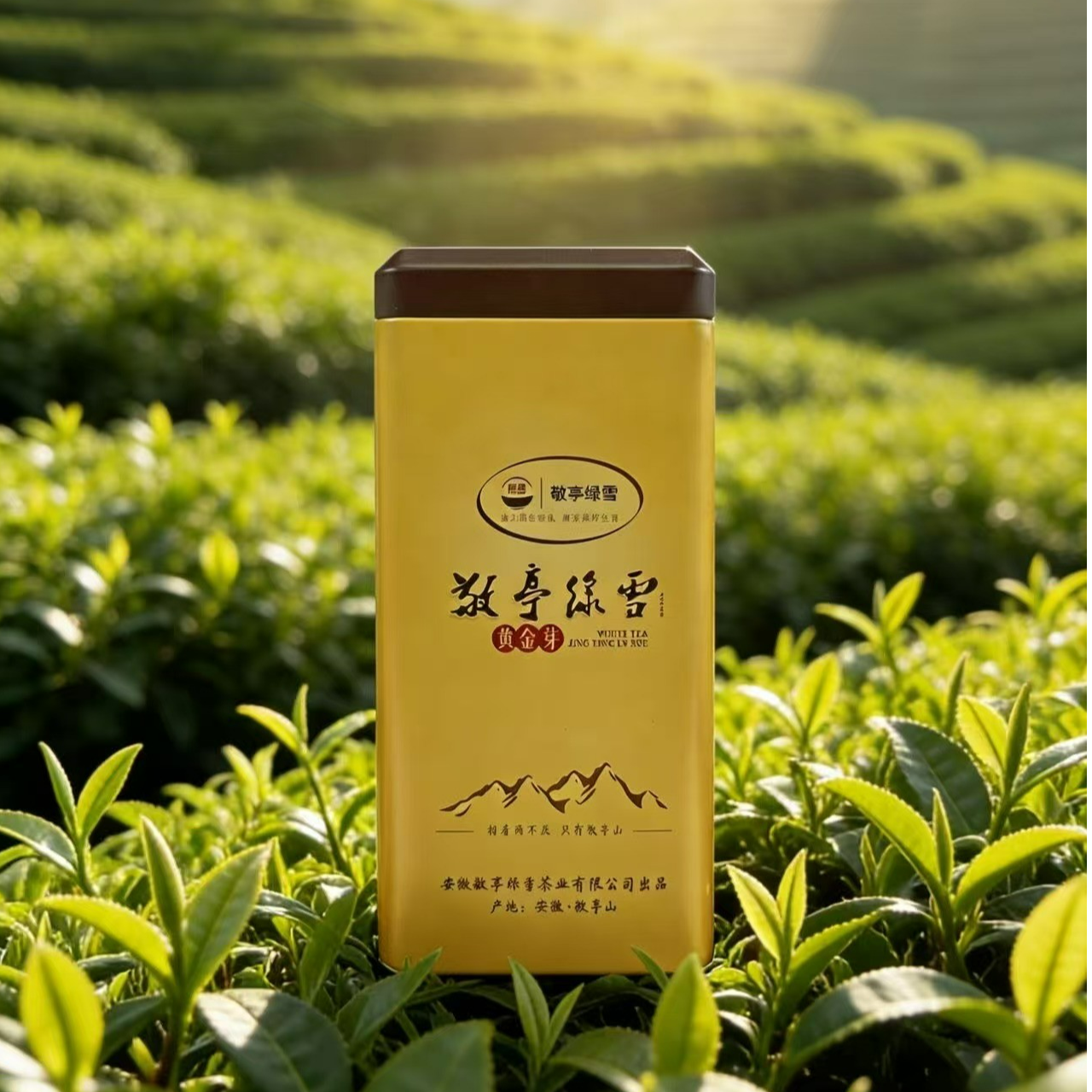 敬亭绿雪黄金芽2025年新茶宣城敬亭山产地一级明前茶50g罐装