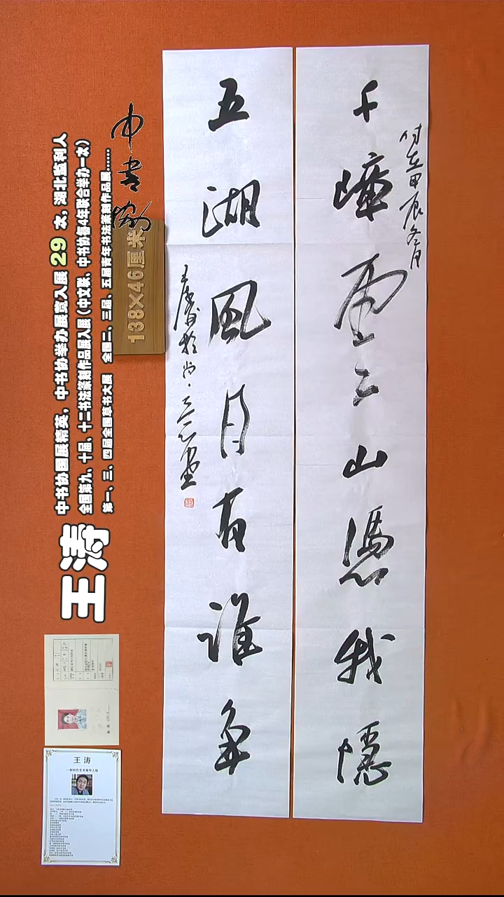 【闪购商品】书法368王涛书法作品