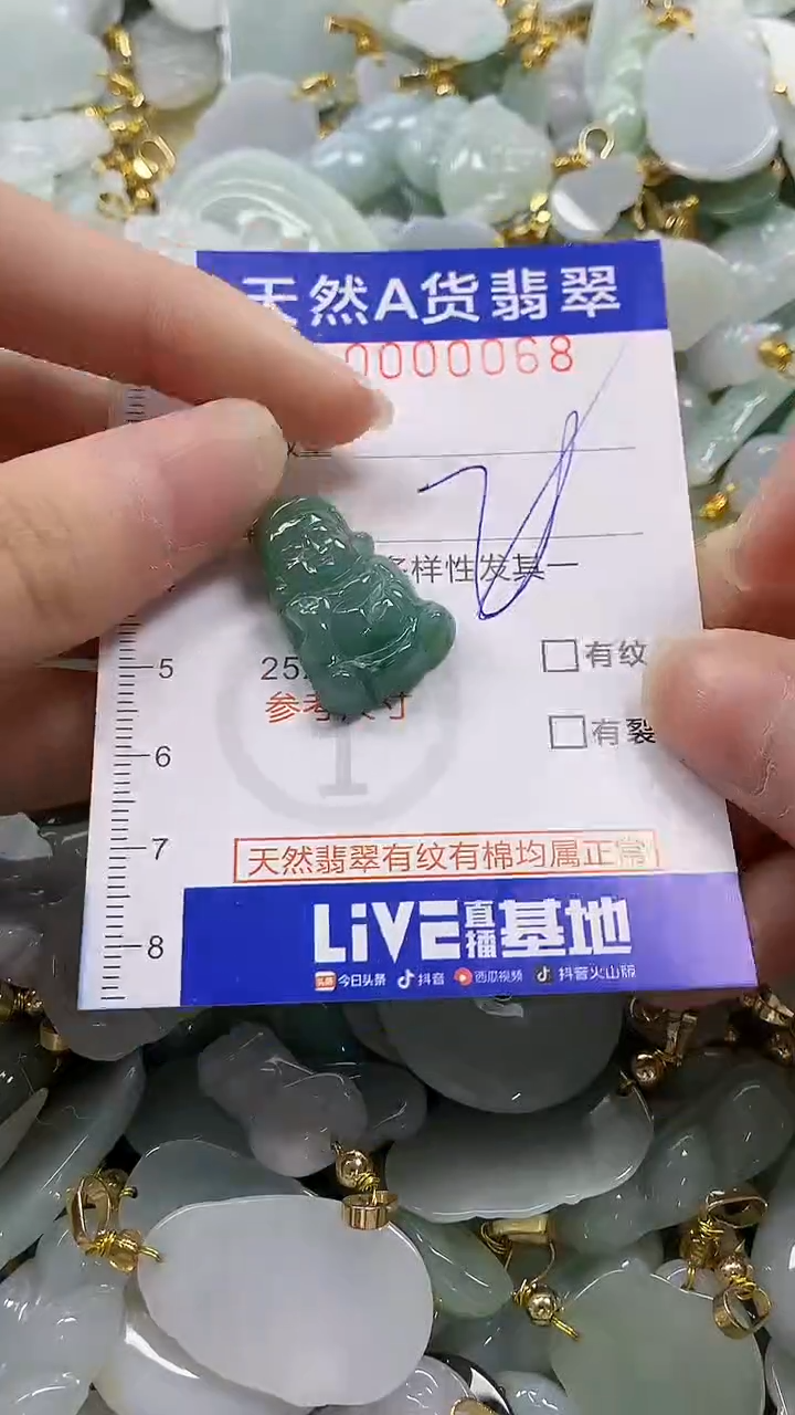 颈饰未镶嵌翡翠天然A货翡翠