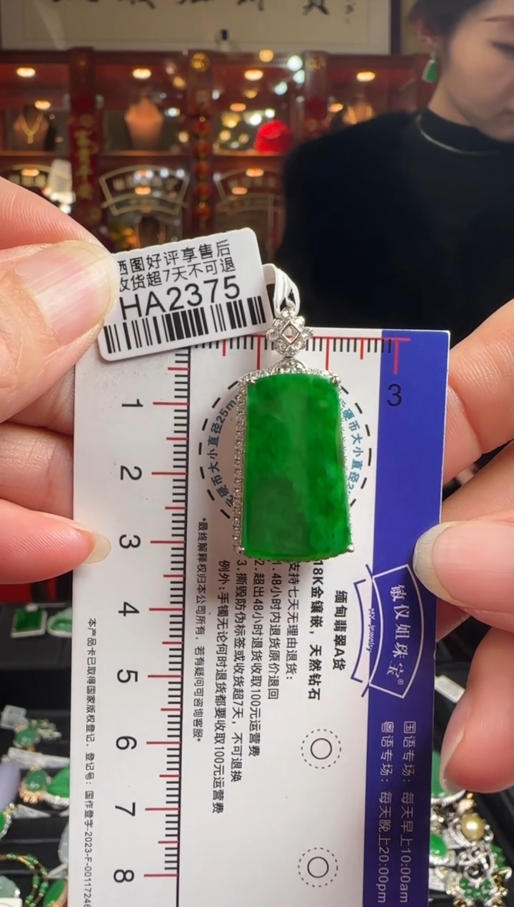 【闪购商品】翡翠颈饰18K金镶嵌HA2375冰辣绿无事牌