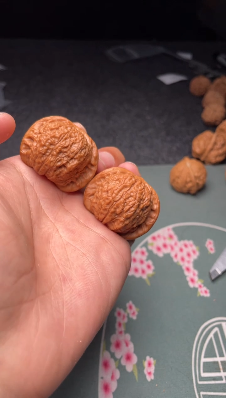 核桃a69   血麒麟   39尺