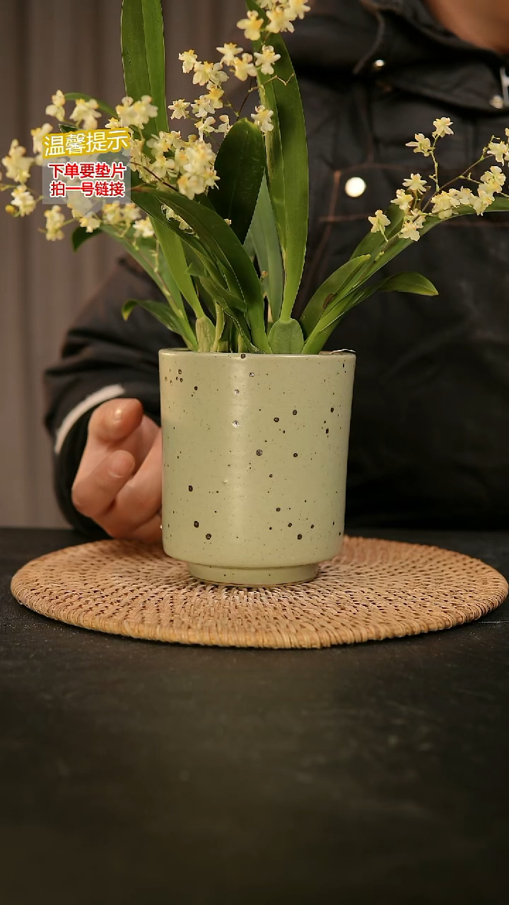 瓷片内口径约8外高11