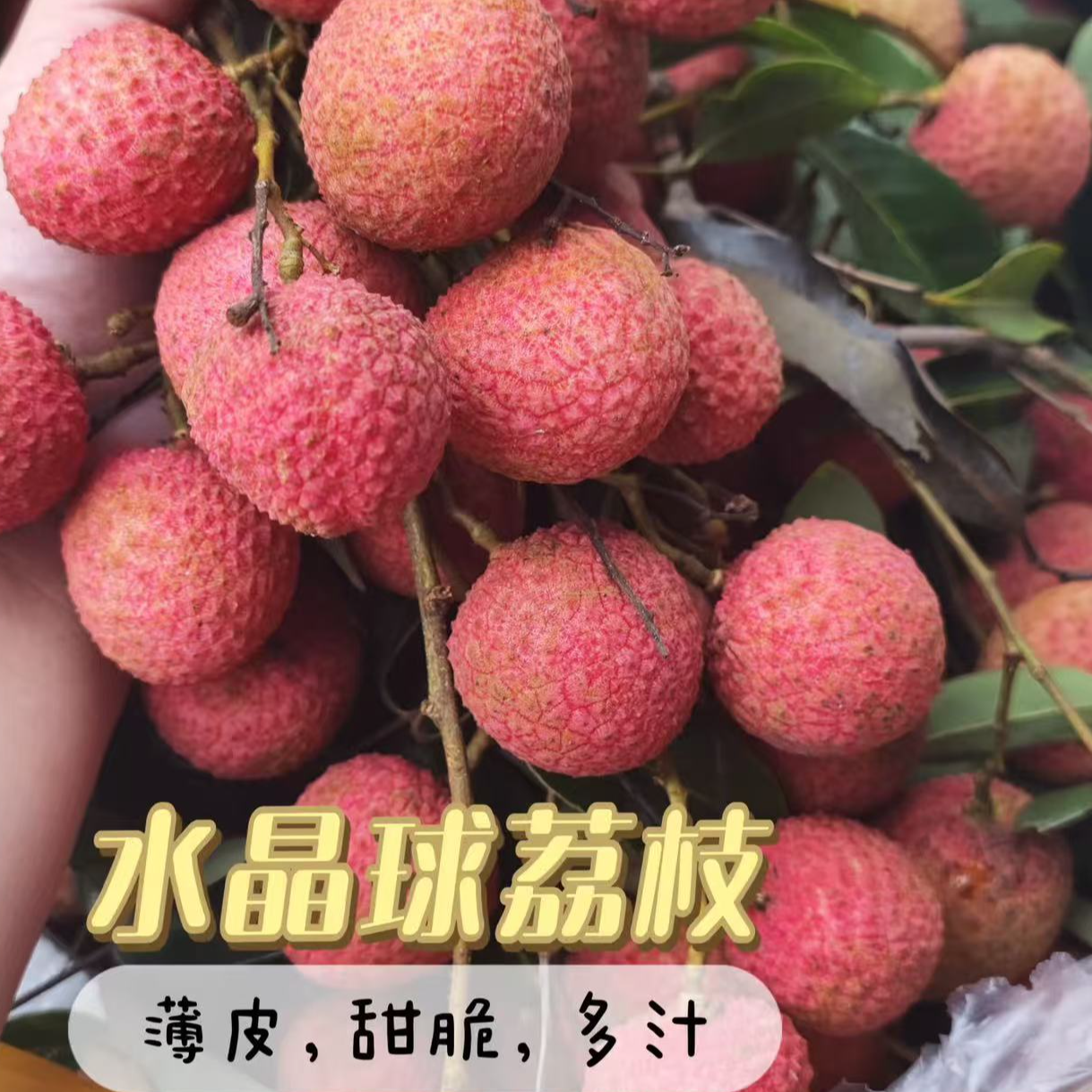 【哈拉秀严选】增城水晶球荔枝礼盒包装2.2斤左右（果子有大有小）