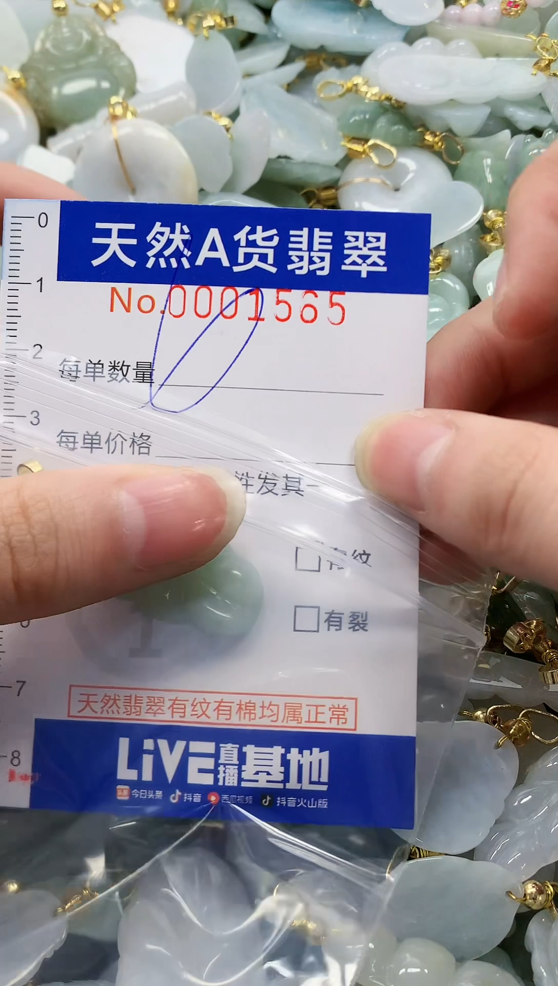 颈饰未镶嵌翡翠纯天然a货翡翠