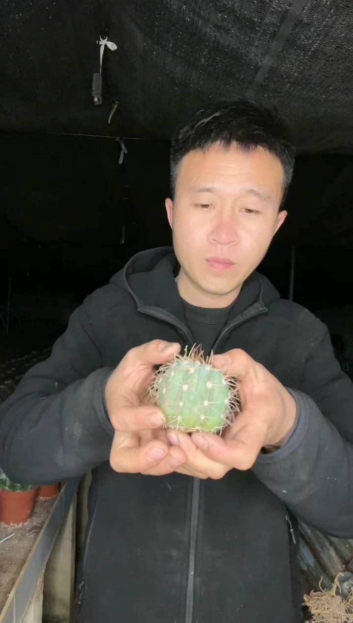 【闪购商品】蓝云111111