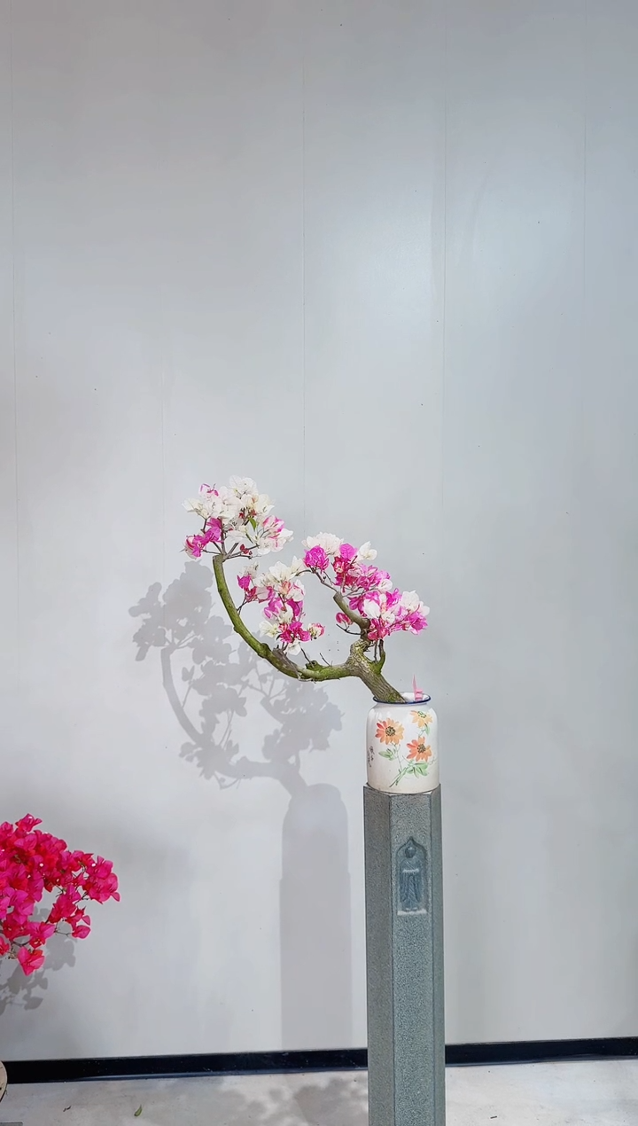 【闪购商品】盆景椰子冰