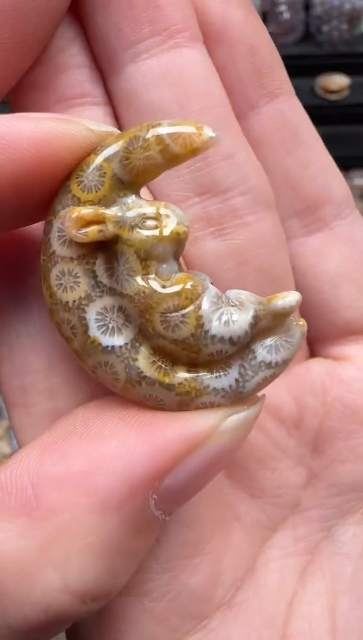 颈饰未镶嵌硅化珊瑚（珊瑚玉）209