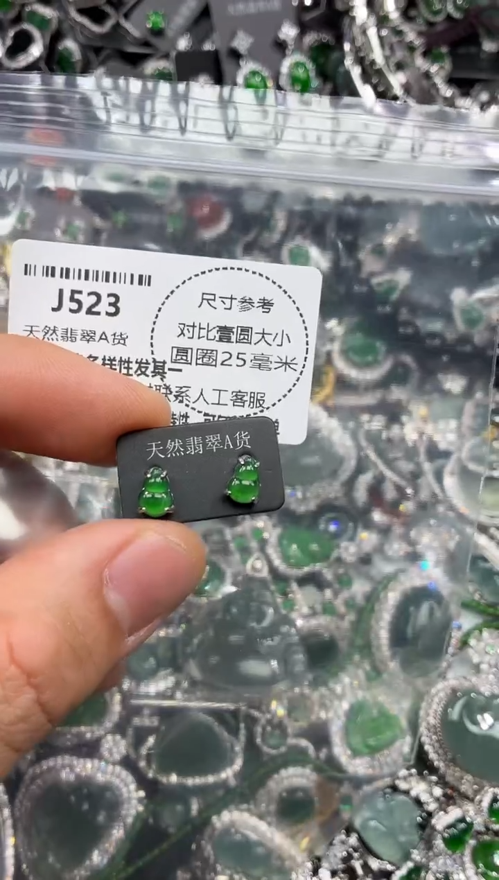 颈饰未镶嵌翡翠J523耳钉