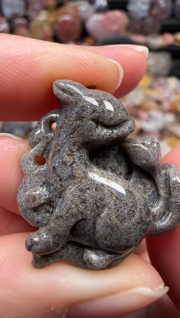 颈饰未镶嵌硅化珊瑚（珊瑚玉）867