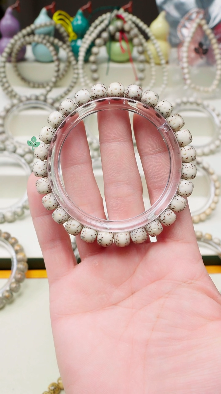 手串星月菩提海南星月菩提一物一图