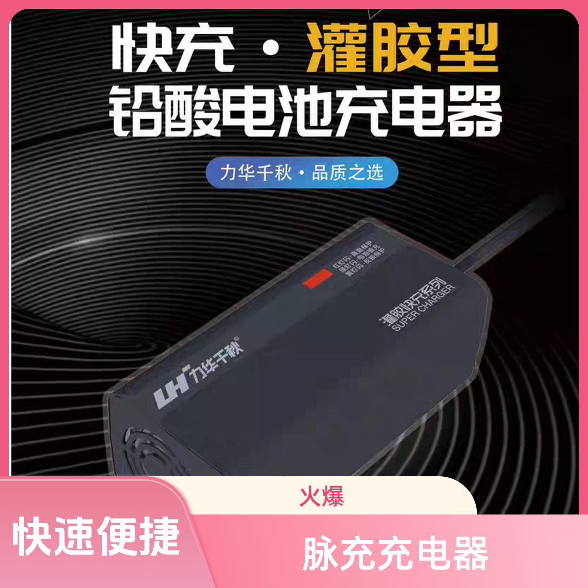 适用于爱玛雅迪台铃专用插口的力华千秋防水快充带修复的充电器