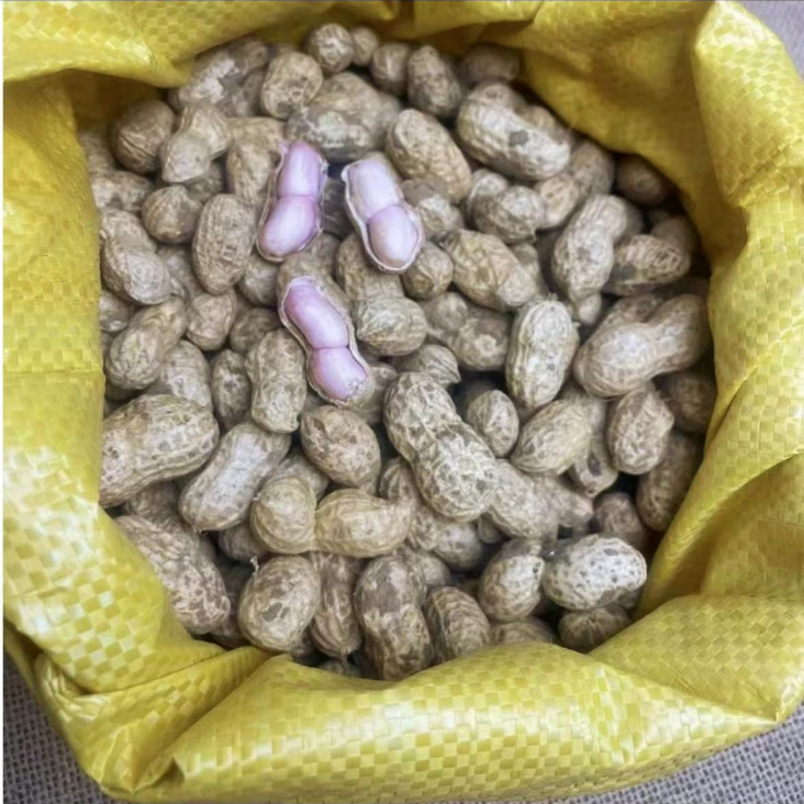 新鲜现挖带壳湿花生农家自种可水煮生吃安徽小花生新鲜现挖现发