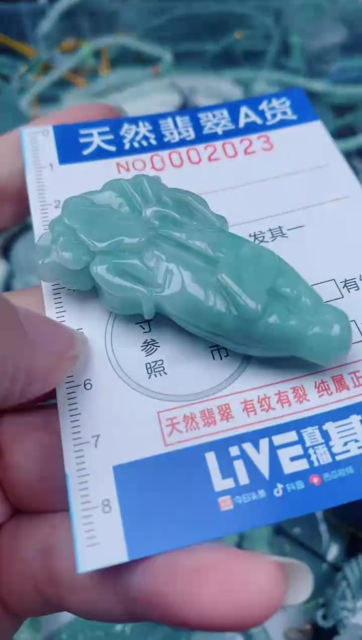 颈饰未镶嵌翡翠00002023
