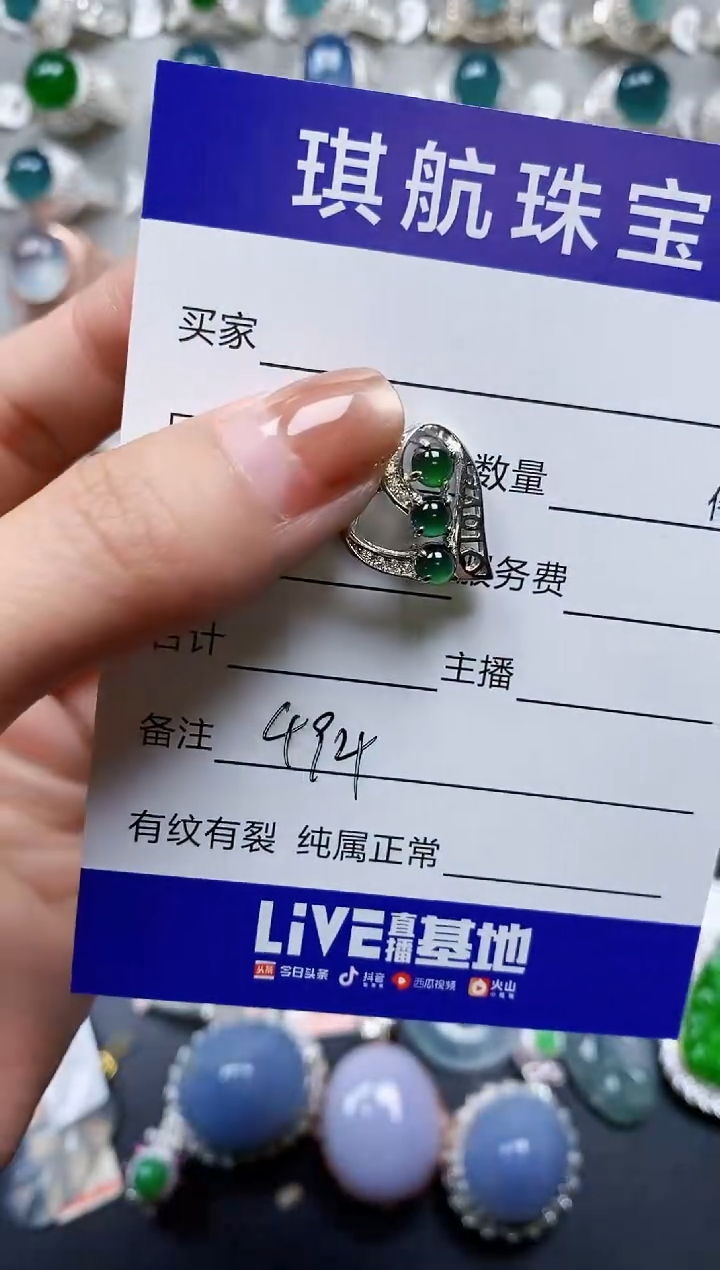 【闪购商品】翡翠颈饰银S925镶嵌0494