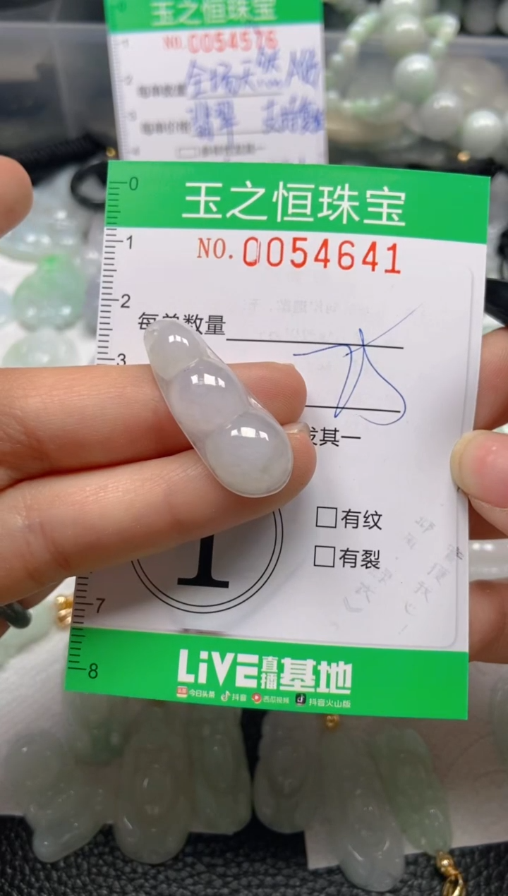 【闪购商品】翡翠未镶嵌颈饰闪购0054641