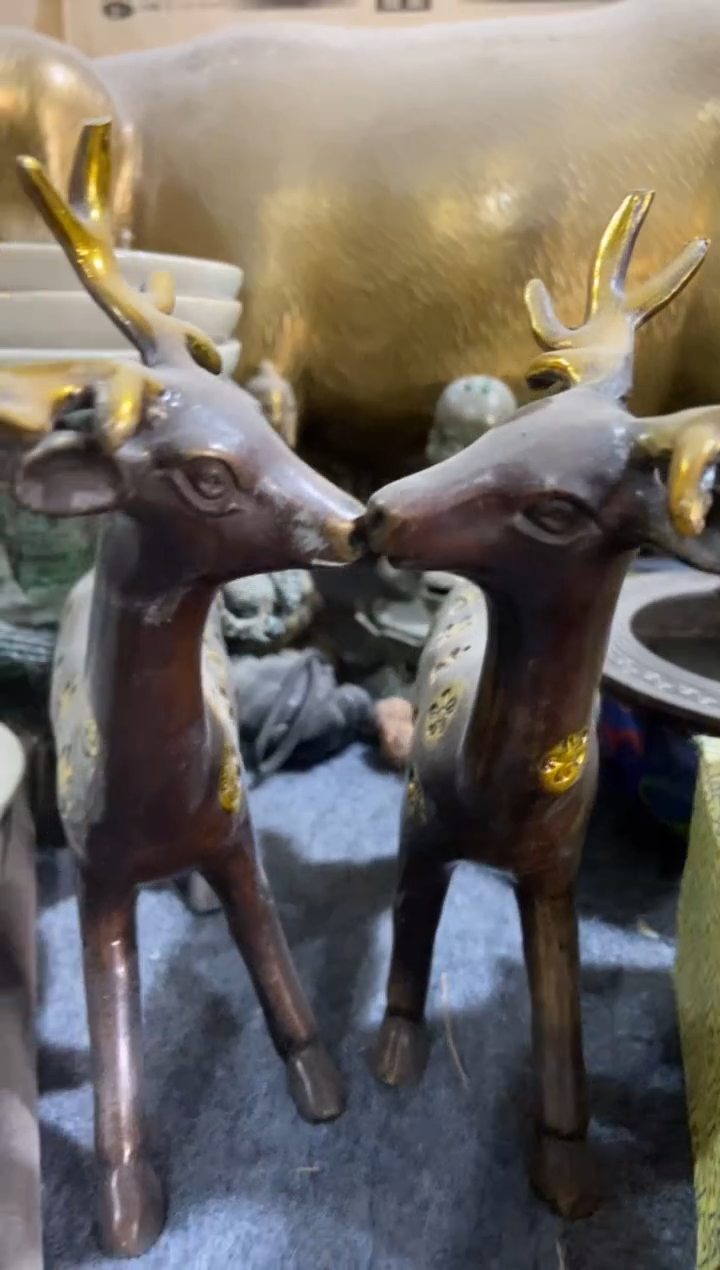 【闪购商品】主播推荐主播推荐