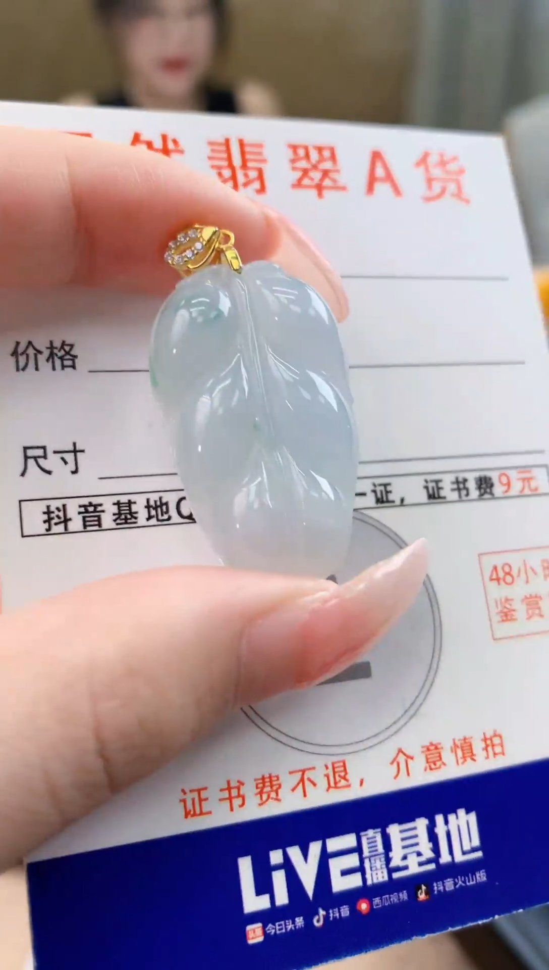 颈饰未镶嵌翡翠天然A货翡翠挂件