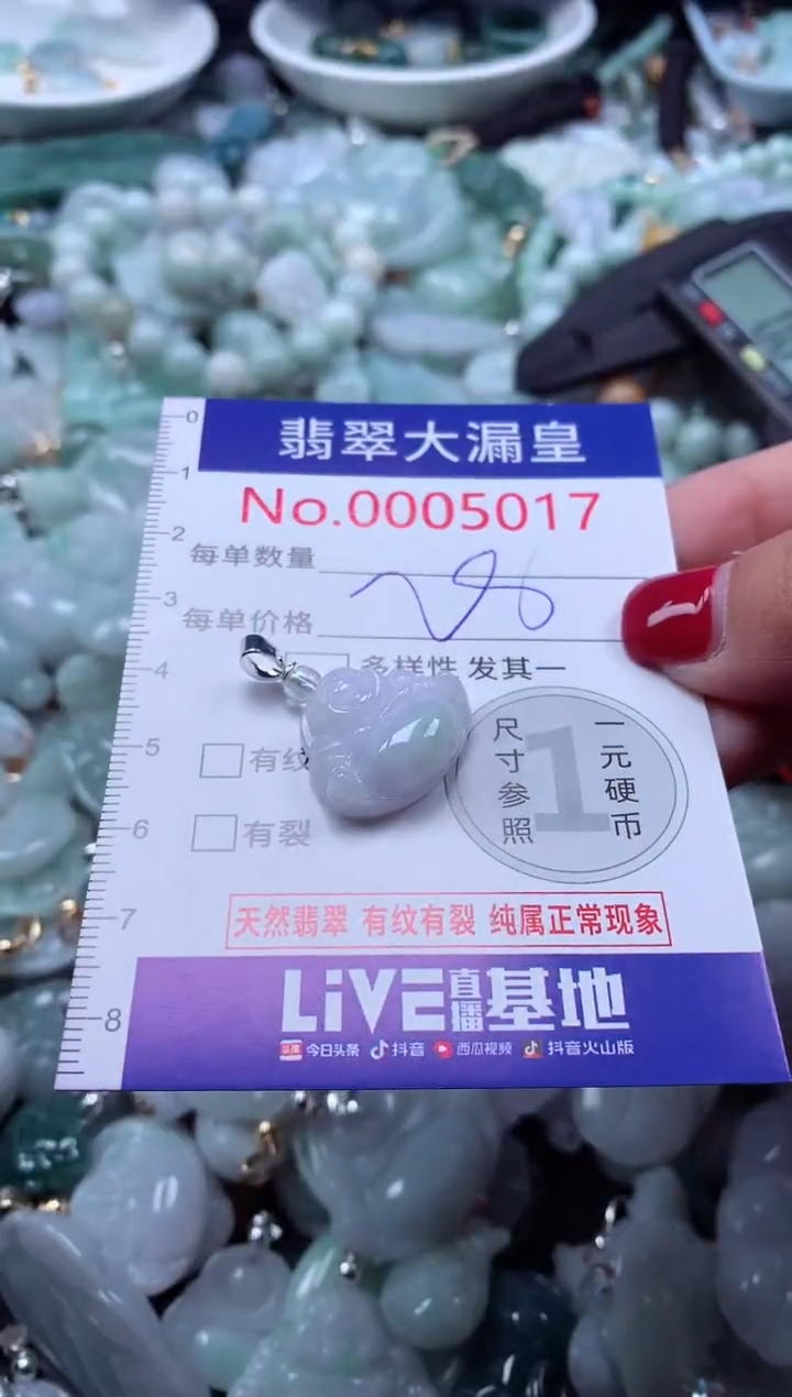 颈饰未镶嵌翡翠5017
