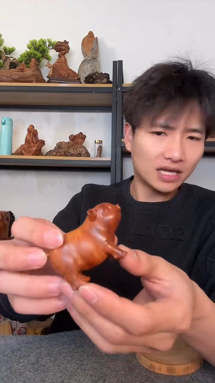 【闪购商品】柏木（崖柏）崖柏