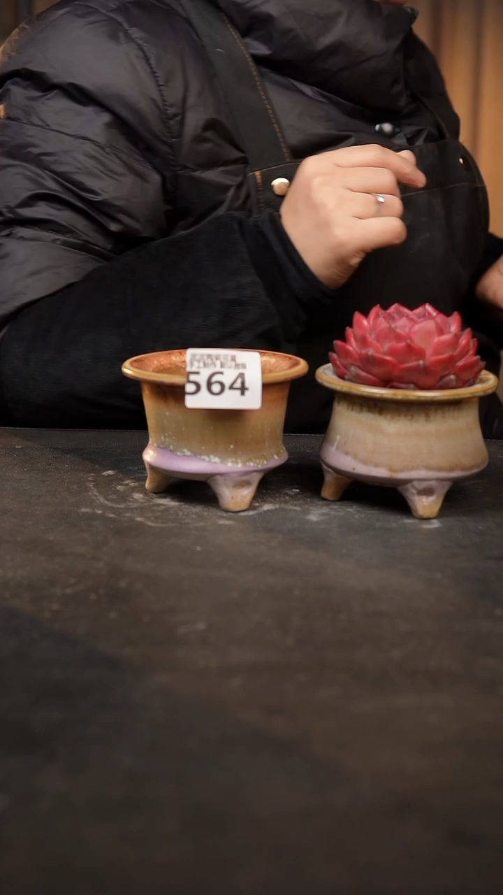【闪购商品】瓷片564泥泥手工花盆口7-8高7-8