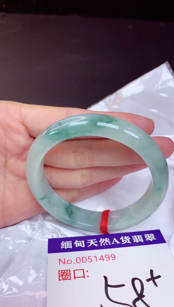 未镶嵌手镯翡翠58+