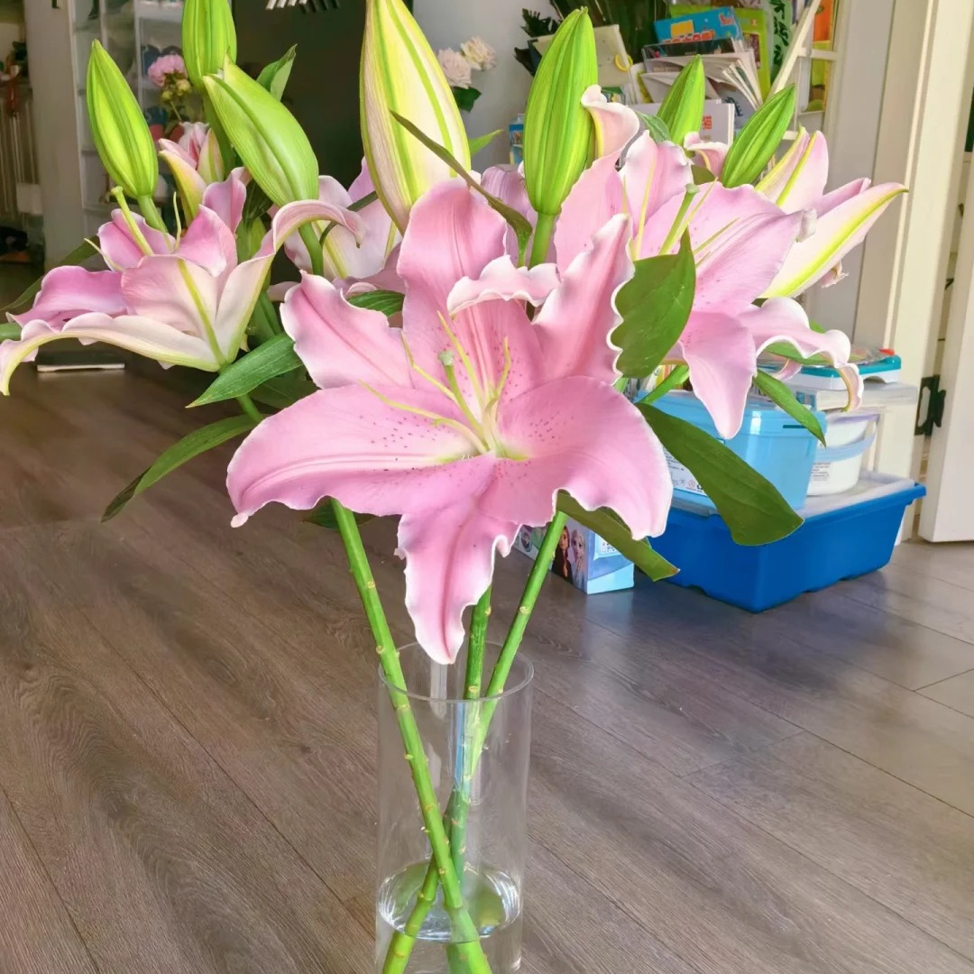 【花王朝甄选】荷花香水百合 任意2单升级快递 元旦福利