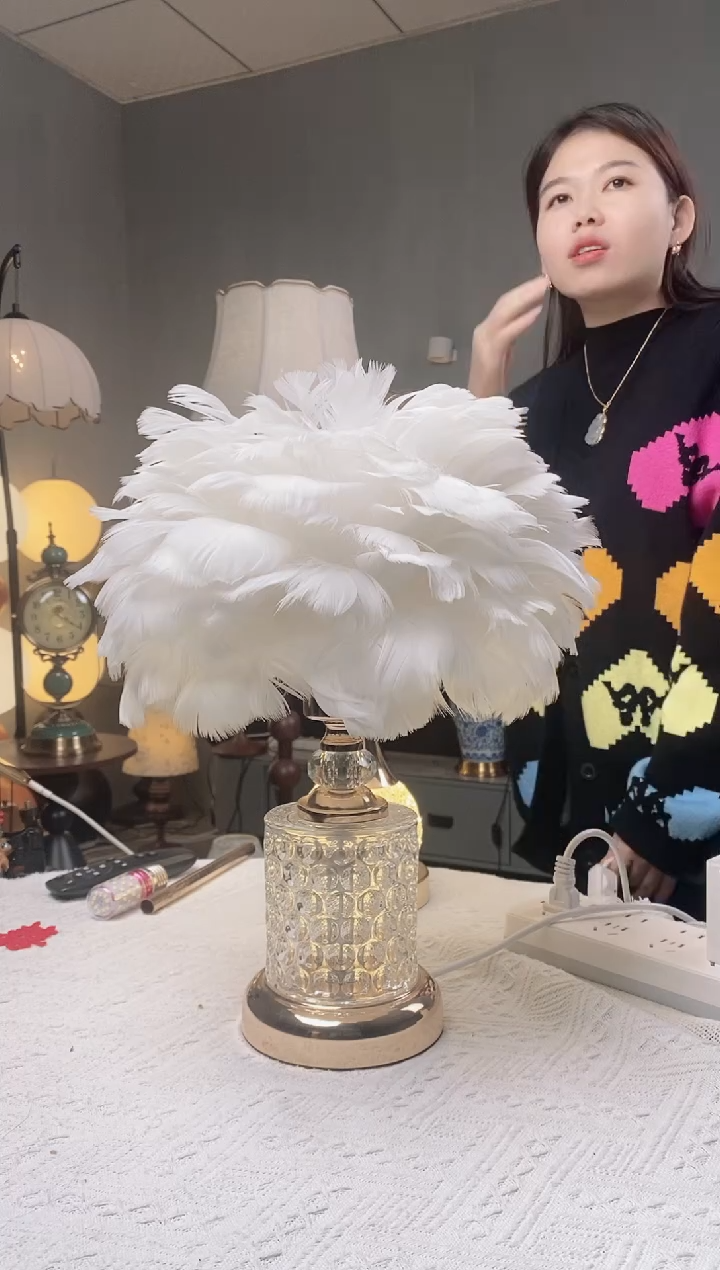 白色羽毛水晶台灯