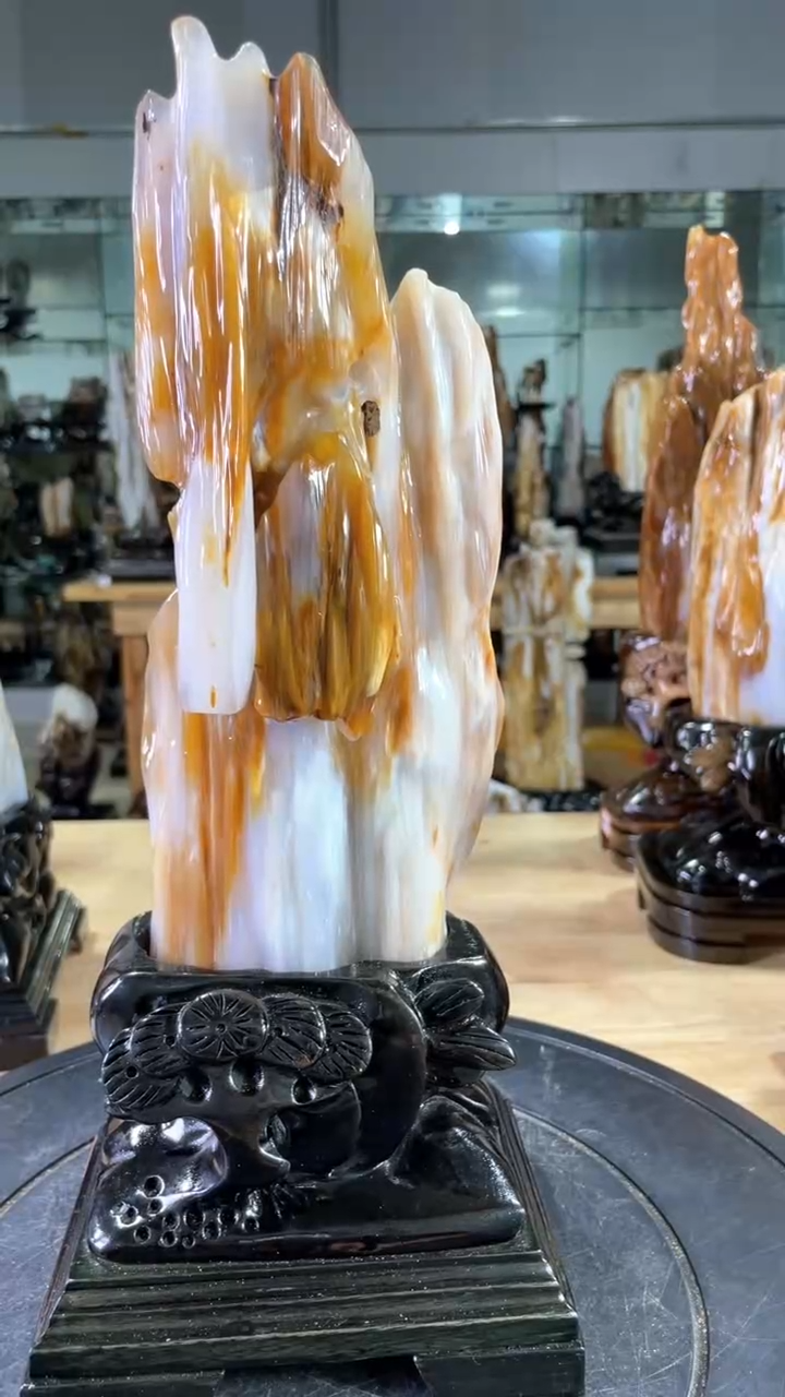 【闪购商品】硅化玉珠宝奇石未镶嵌630