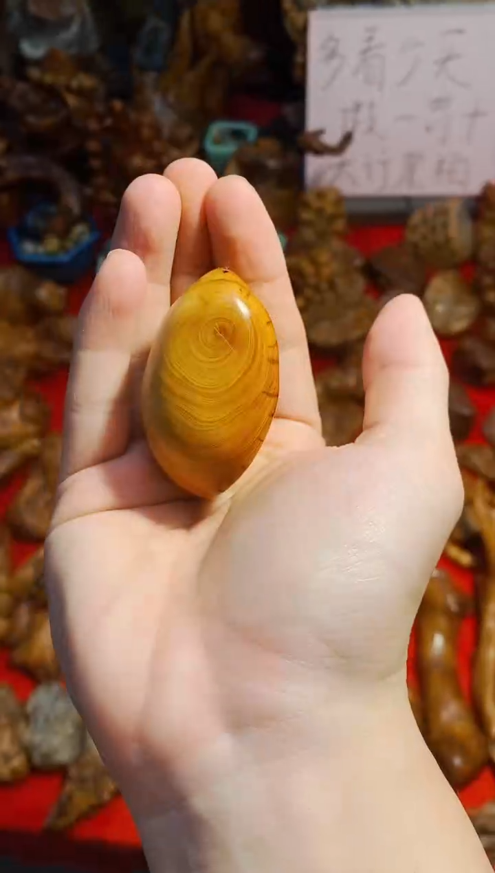 【闪购商品】柏木37崖柏崖柏崖柏崖柏崖柏