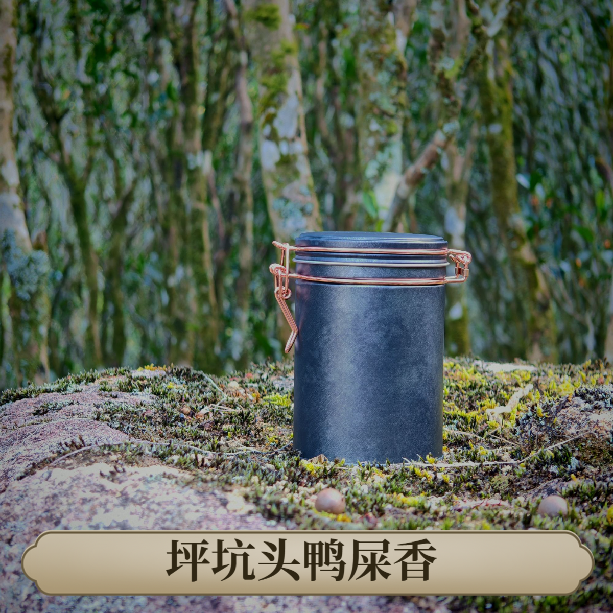 坪坑头｜老枞鸭屎香 花香高锐奶香奶韵 浓香熟火型  双十二