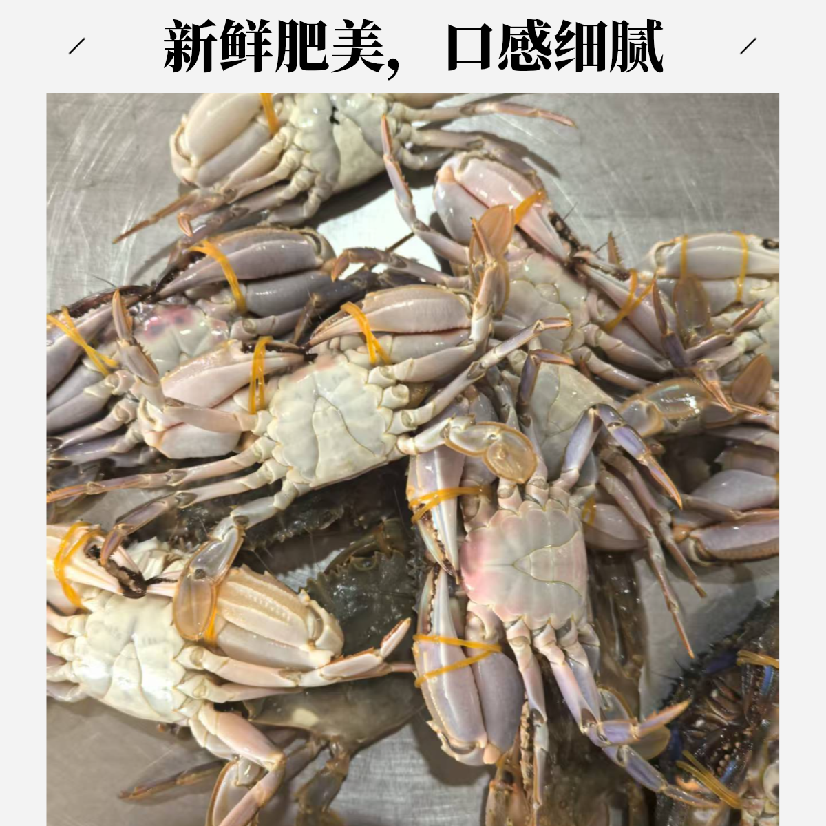 【保鲜不保活】小铜蟹 一斤6只左右 一只约2两 部分断臂介意勿拍