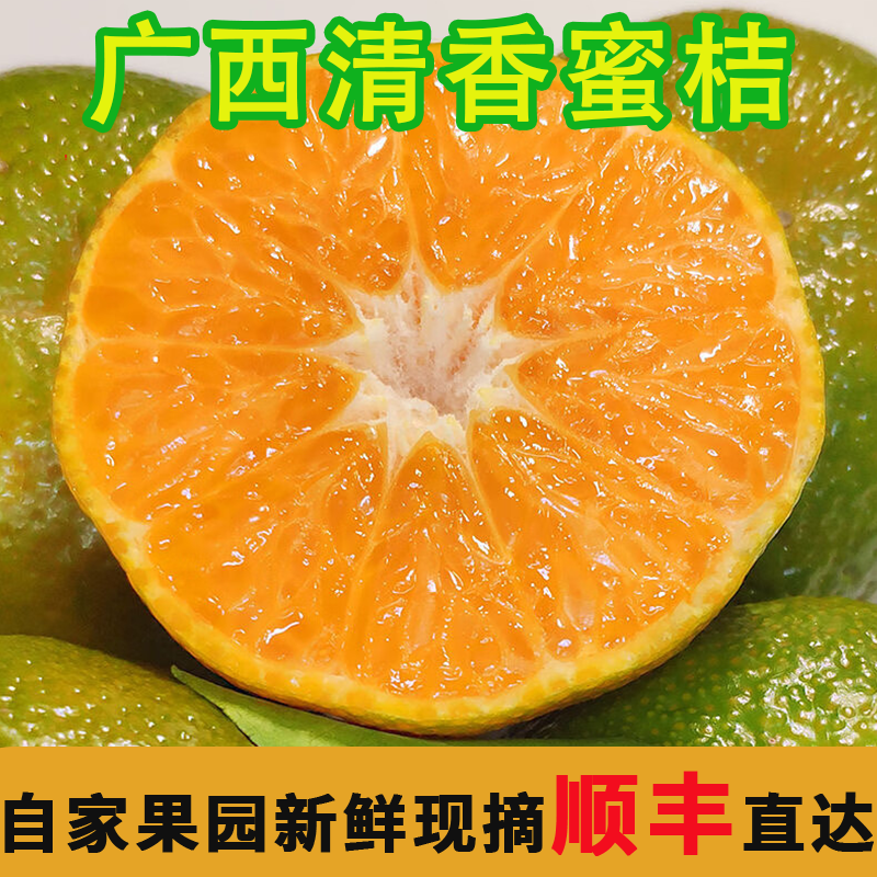 【顺丰包邮】正宗广西清香蜜桔青皮蜜桔现摘当季应季新鲜水果