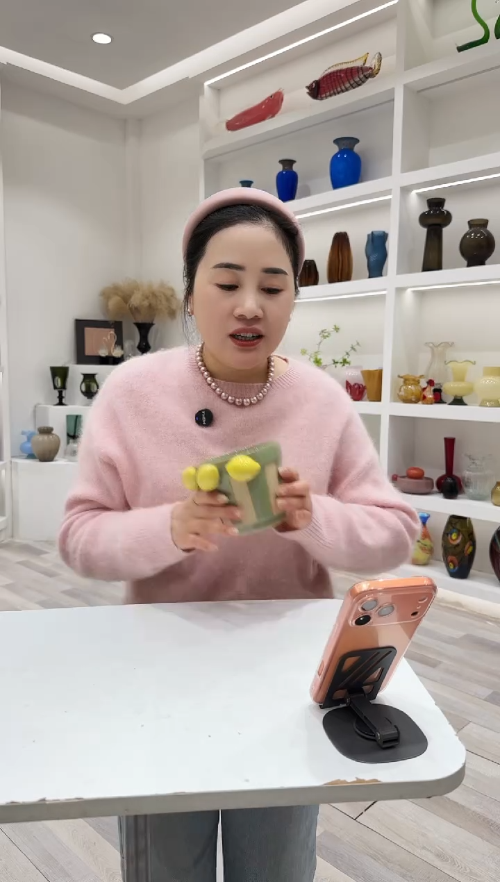 YS-柠檬收纳花盆