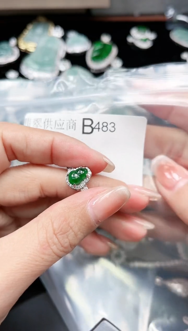 【闪购商品】翡翠颈饰未镶嵌483赠皮绳