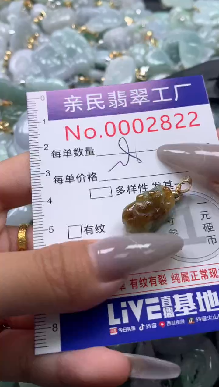 颈饰未镶嵌翡翠2822