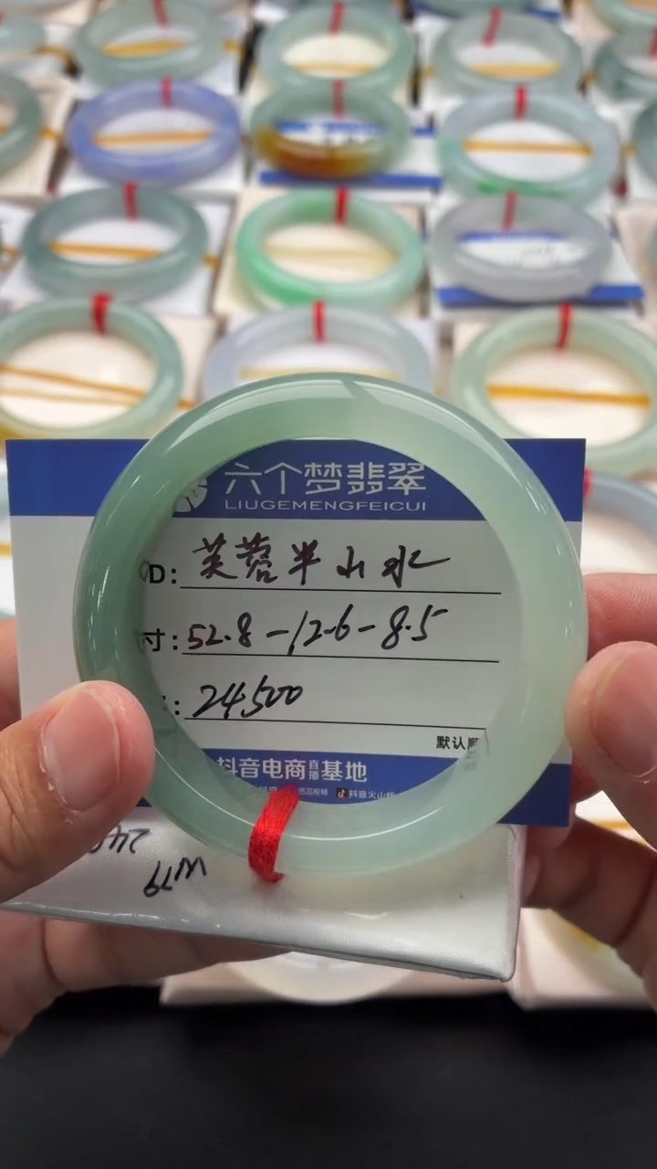 未镶嵌手镯翡翠芙蓉半山水 48小时鉴赏期