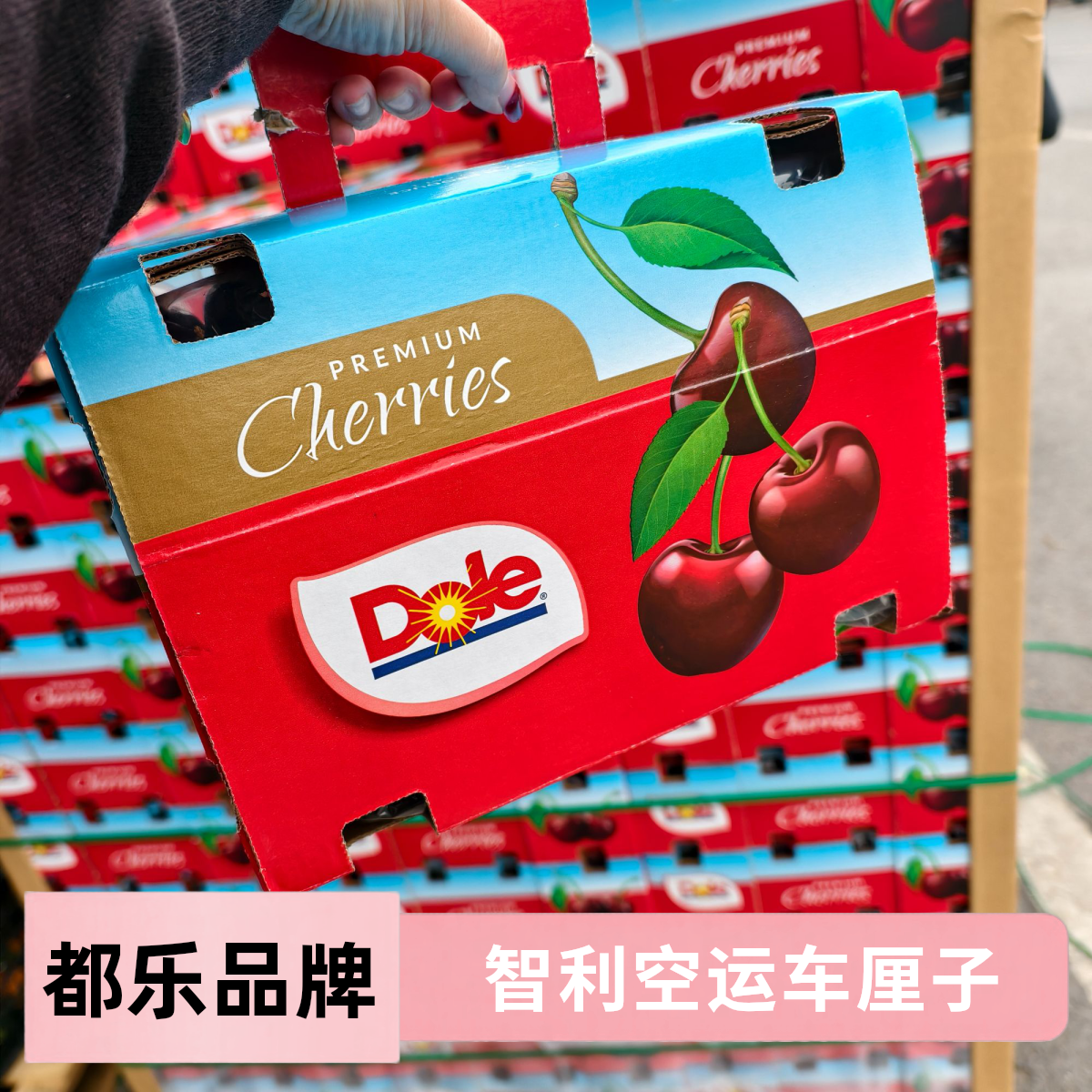 安安【韩美丽】空运都乐智利4J车厘子桑提娜 爽甜多汁 内附果径卡