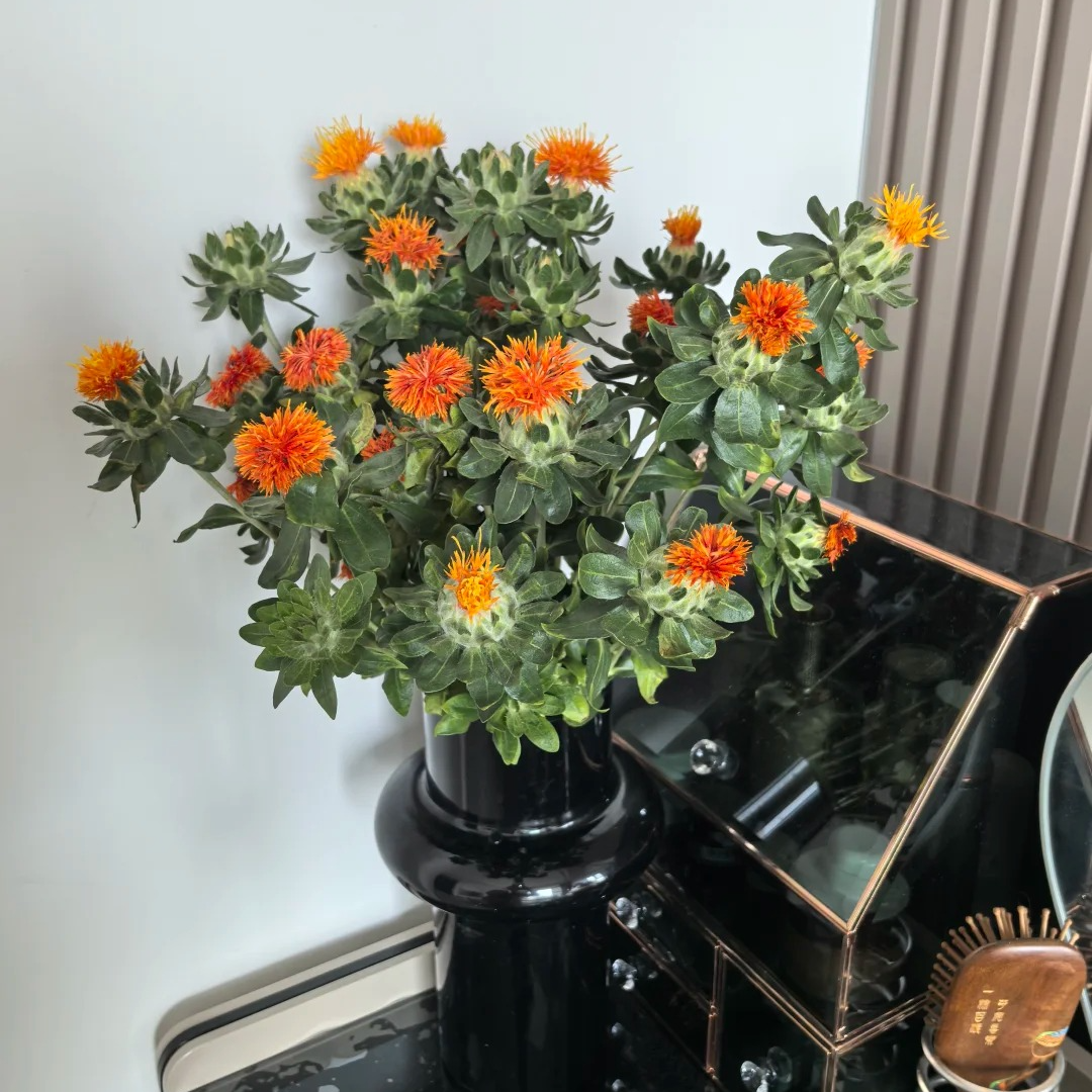 【橙菠萝】一单包邮 两单升级顺丰/德邦 云南鲜花基地 