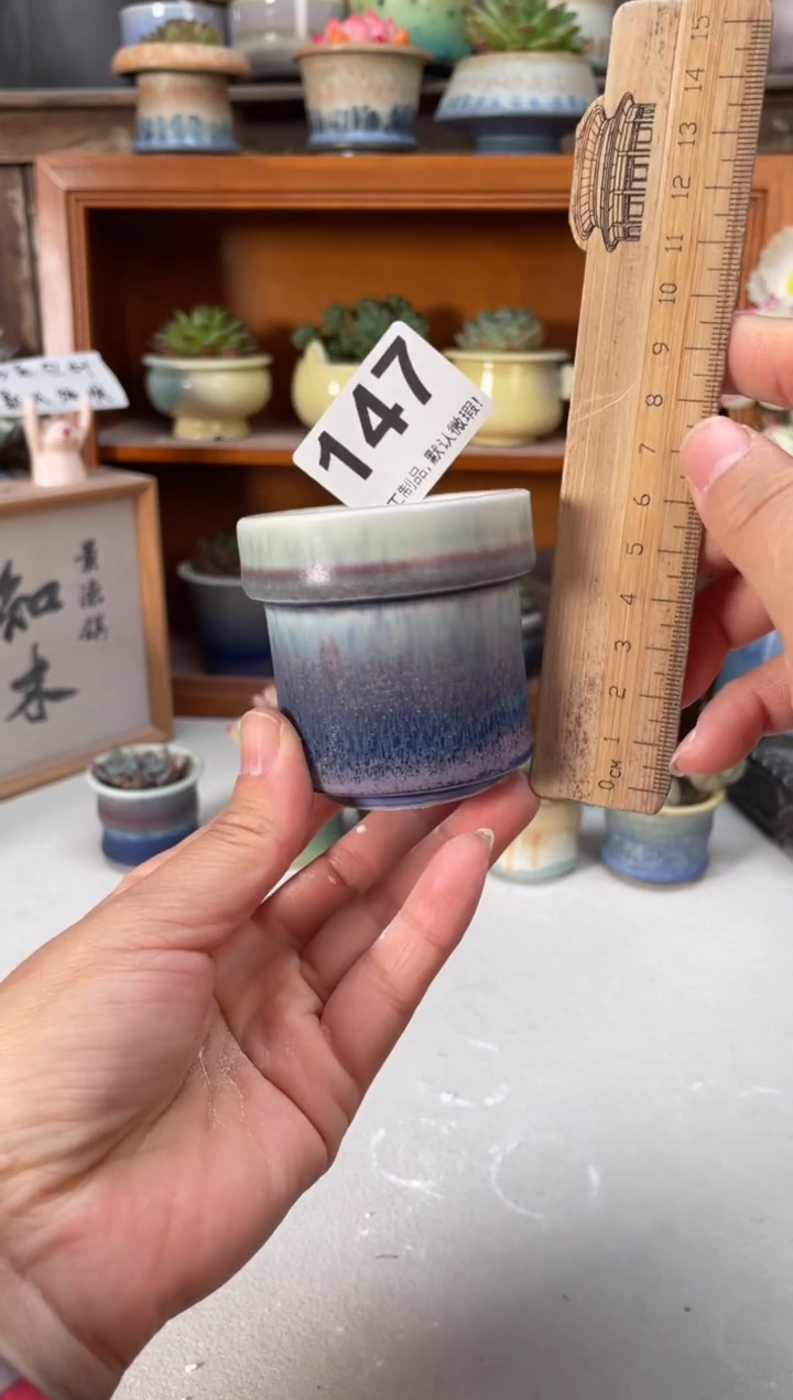 瓷片147小芳直播编号
