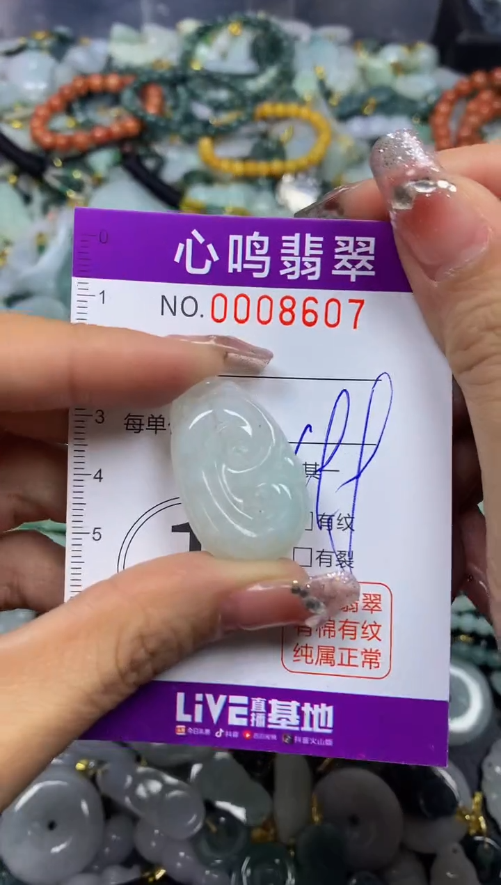 【闪购商品】翡翠颈饰未镶嵌闪购008607