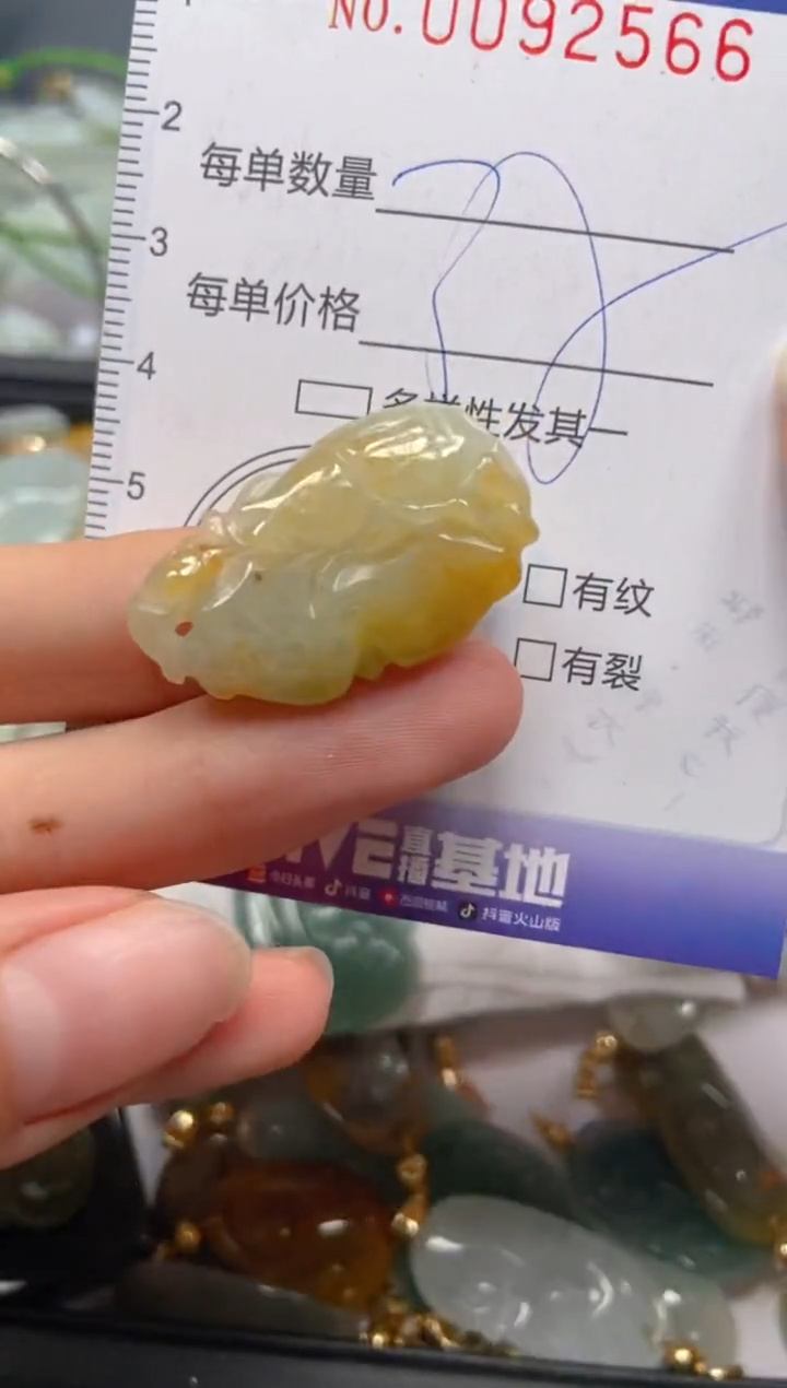 【闪购商品】翡翠颈饰未镶嵌闪购0092566