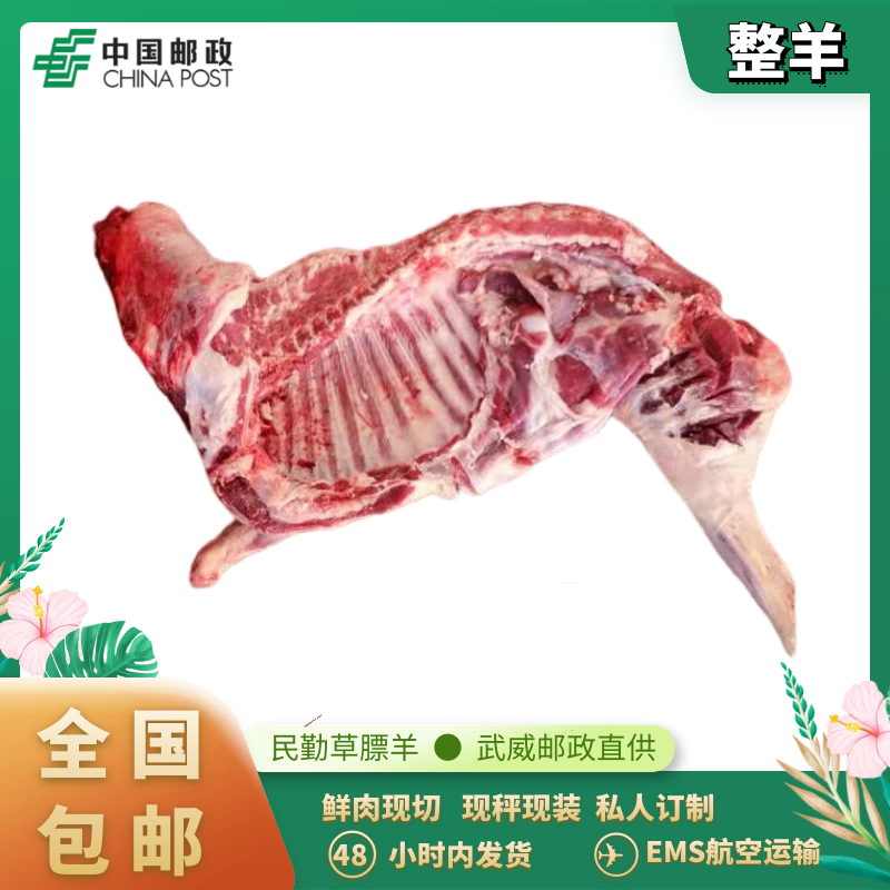【次日达】民勤散养羊肉16斤6个月小羯羊半只羊 
