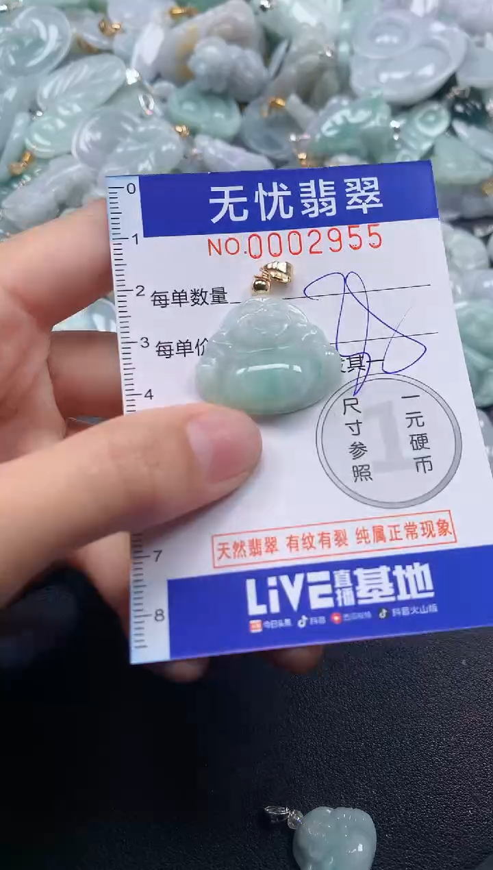 颈饰未镶嵌翡翠2955