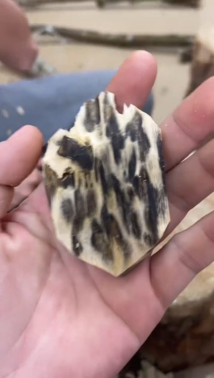 沉香沉香碎屑棋楠沉香 原料文创1