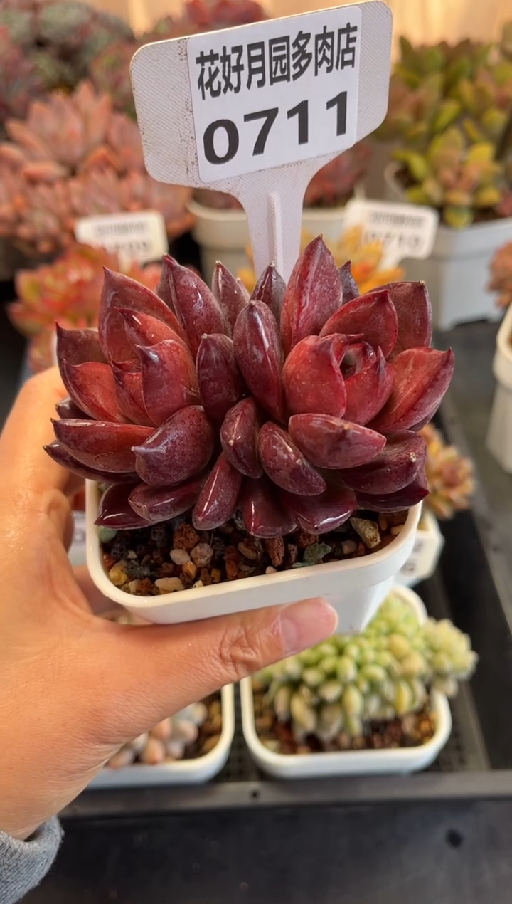 0711（天冷必拍保温箱）